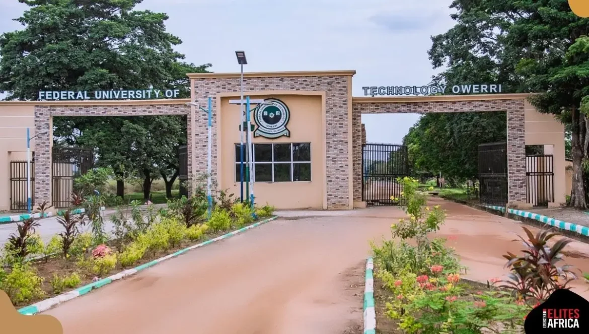 12 Federal Universities in Nigeria You Can Afford