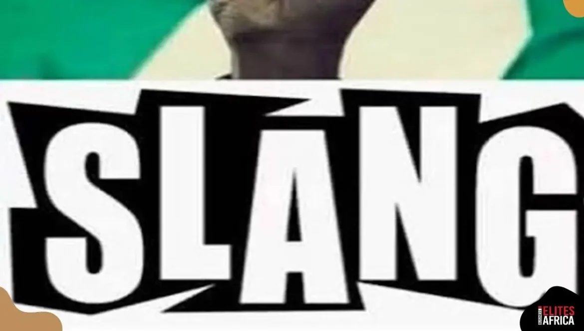 The Nigerian Slangs That Took Over in 2025