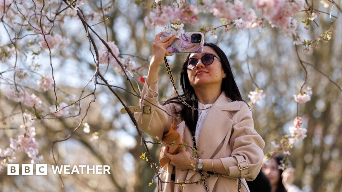 UK temperature reaches 21C in warmest day of year so far