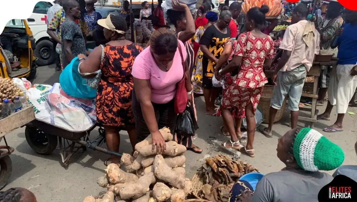 Nigerian Food Market Reaches $233.53bn, Set to Grow at 10.76% Annually