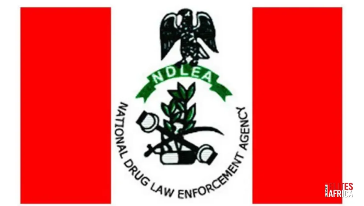 US-UN Training Boosts NDLEA’s Fight Against Drug Trafficking in West Africa