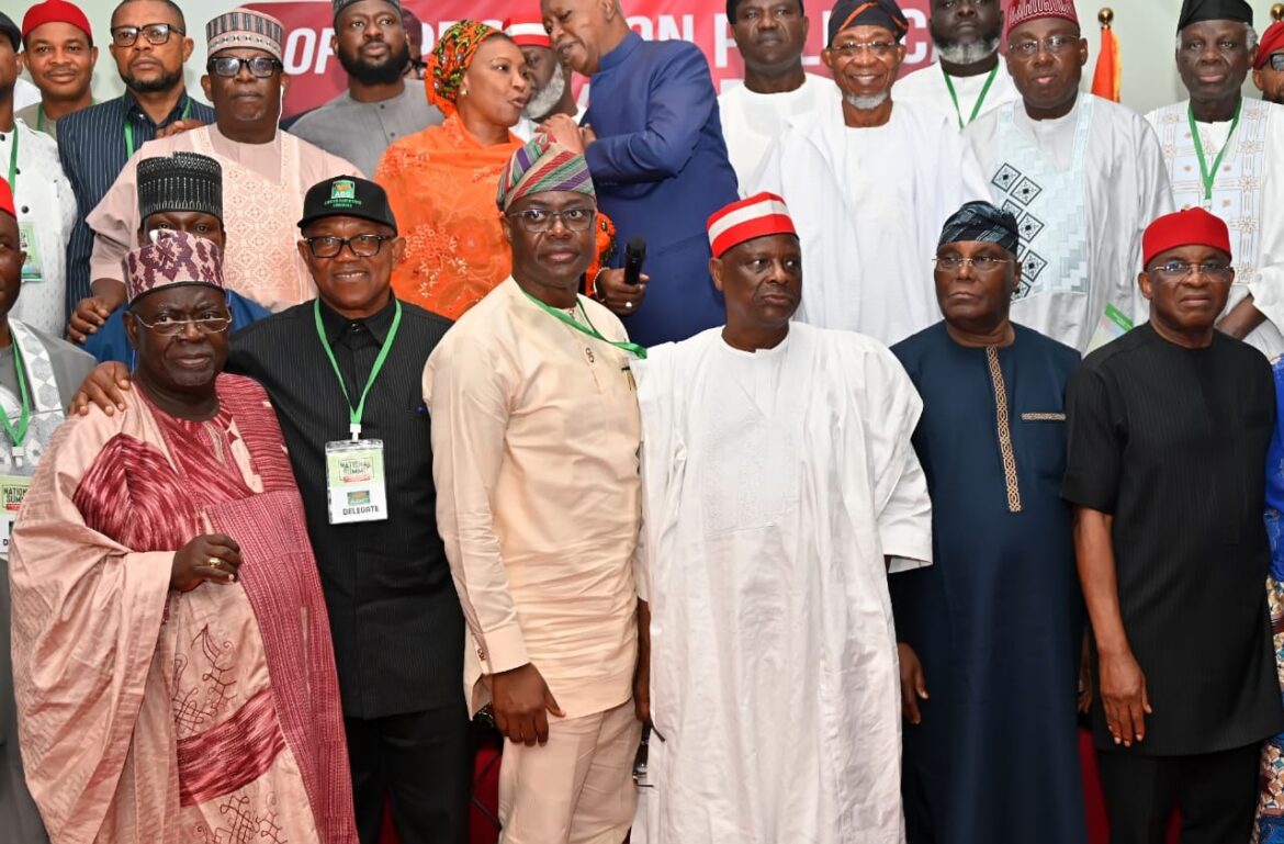 Ibadan Summit: PDP, LP, NNPP, ADC, Others Declare Plan for Single Presidential Candidate